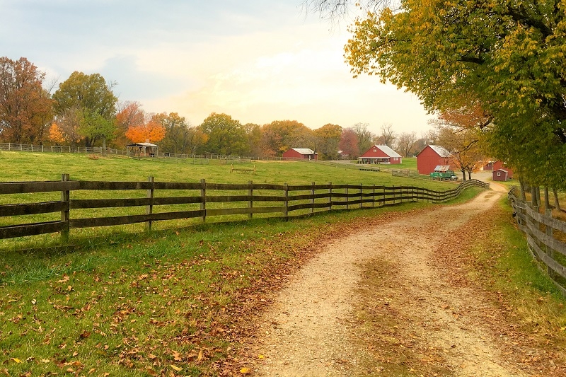 Farm with fencing